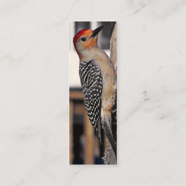 Carte De Visite Mini Portrait de pic (Dos)