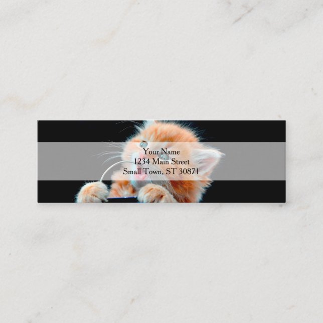 Carte De Visite Mini Puppy Cat mordant un jouet (Devant)