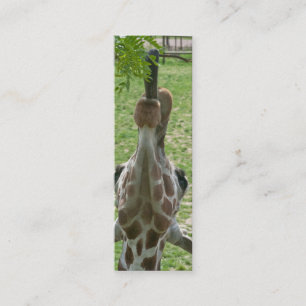 Carte De Visite Mini Signet prolongé de girafe de langue