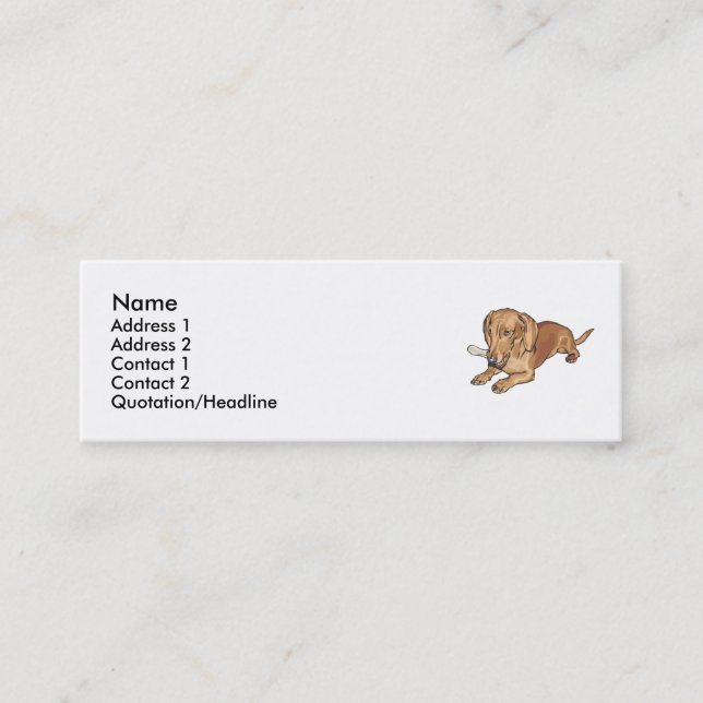 Carte De Visite Mini Teckel (Devant)