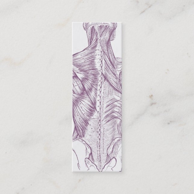 Carte De Visite Mini Vieux muscles d'art d'anatomie du pourpre arrière (Devant)