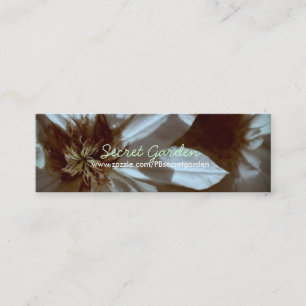 Carte De Visite Mini Vieux souvenirs 3 Clematis Blanc Photographie flor