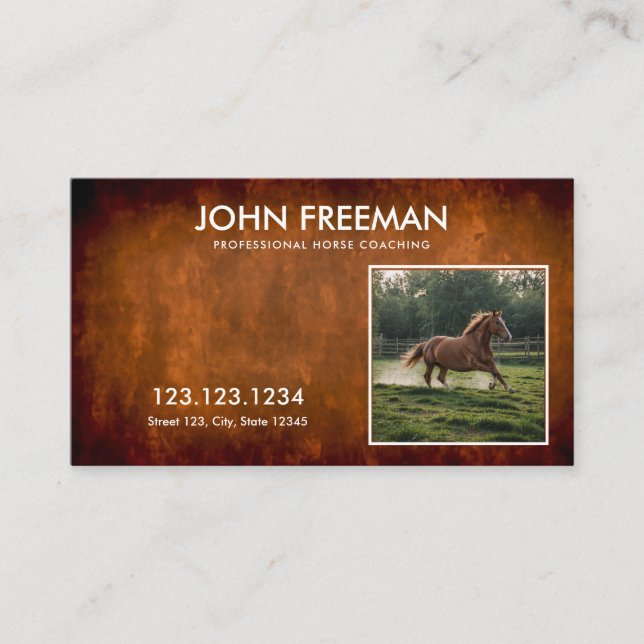 Carte De Visite Miniature Brown Photos de Cheval Coaching Rustique (Devant)