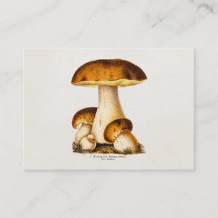 Carte De Visite Modèle comestible de champignons de champignon