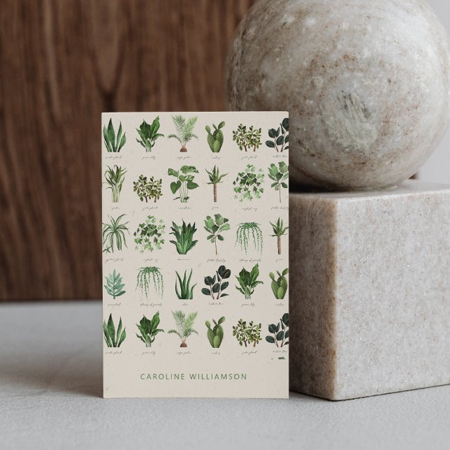 Carte De Visite Moderne Boho Plantes Vertes Botanique Nature (Créateur téléchargé)