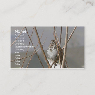 Carte De Visite Moineau de chanson