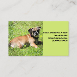 Carte De Visite Molly
