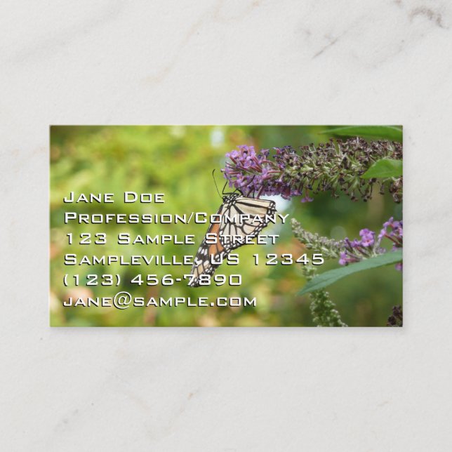 Carte De Visite Monarque sur Buddleia (Devant)