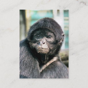 CARTE DE VISITE MONKEY