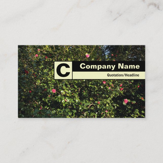 Carte De Visite Monogramme de bord - Camellia Bush (Devant)