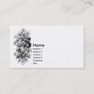 Carte De Visite Monogramme S avec le feuille de Palmetto