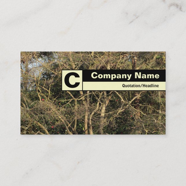 Carte De Visite Monogramme sur arête - Branches dorées (Devant)
