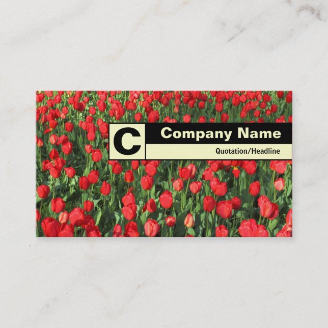 Carte De Visite Monogramme sur arête - Lit de tulipes rouges 02 (Devant)