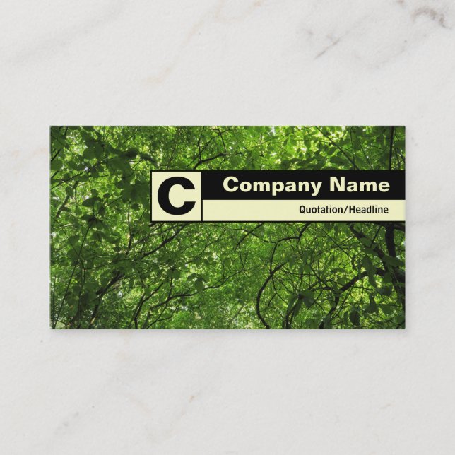 Carte De Visite Monogramme sur bordure - Canopée en bois (Devant)