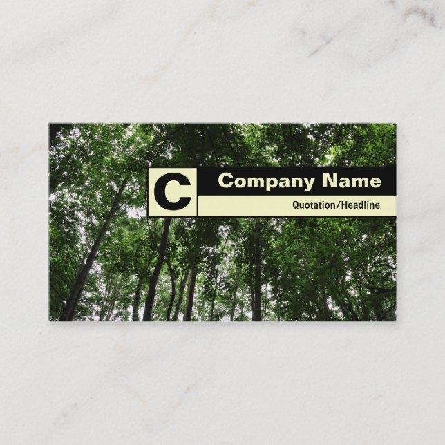Carte De Visite Monogramme sur bordure - Canopée en bois (Devant)
