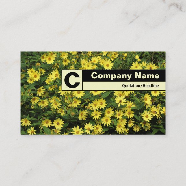 Carte De Visite Monogramme sur bordure - Faisceaux jaunes (Devant)