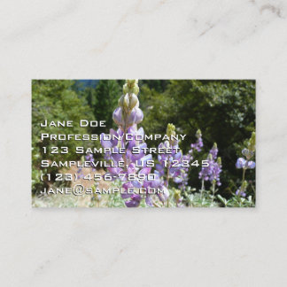 Carte De Visite Mont Lupins