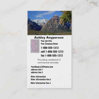 Carte De Visite Mountain View