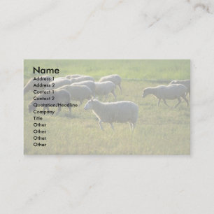 Carte De Visite Moutons