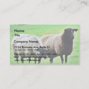 Carte De Visite Moutons à tête noire