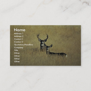 Carte De Visite Mule Deer
