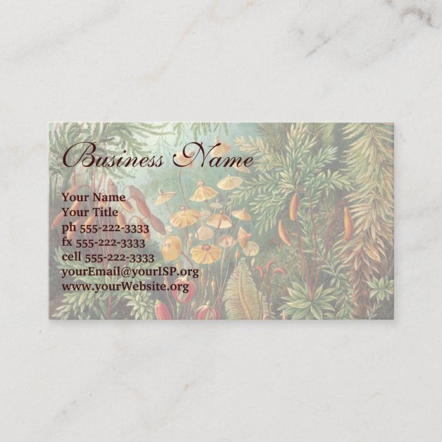 Carte De Visite Muscinae vintage, Plantes de la mousse par Ernst H (Devant)