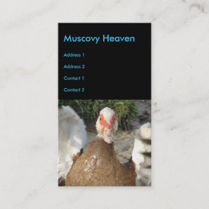 Carte De Visite Muscovy Heaven