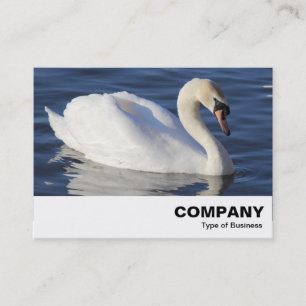 Carte De Visite Mute Swan