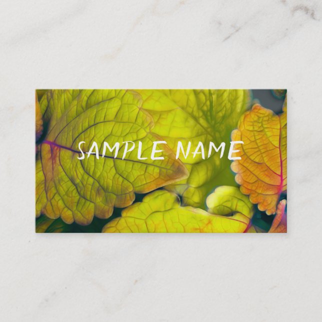 Carte De Visite nature citron vert feuille photo art plantes (Devant)
