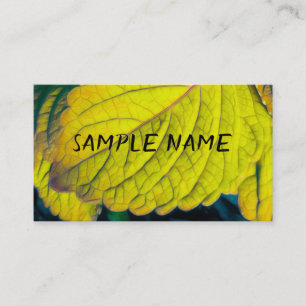 Carte De Visite nature citron vert feuille photographie plantes