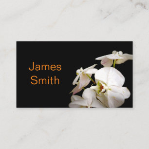 Carte De Visite nature orchidées blanches photographie de fleur