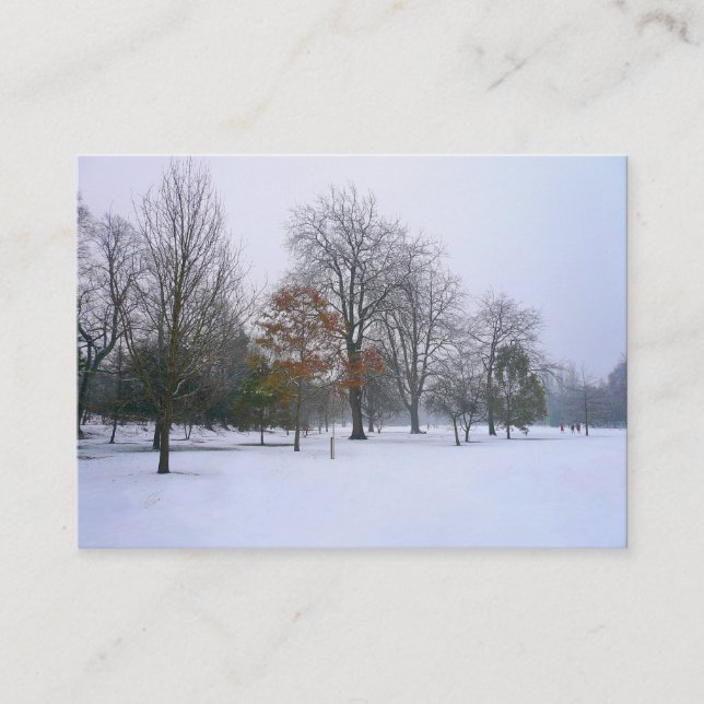 Carte De Visite Neige dans le parc, Mini Photo (Devant)