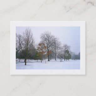 Carte De Visite Neige dans le parc, Mini Photo