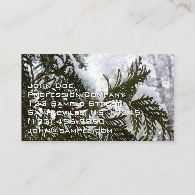 Carte De Visite Neige sur les branches de feuillus persistants (Devant)