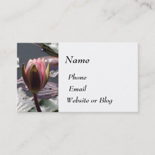 Carte De Visite Nénuphar rose