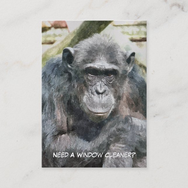 CARTE DE VISITE NETTOYAGE DES FENÊTRES (Devant)