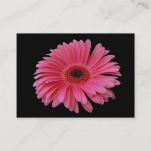 Carte De Visite Noir rose ACEO de Gerbera