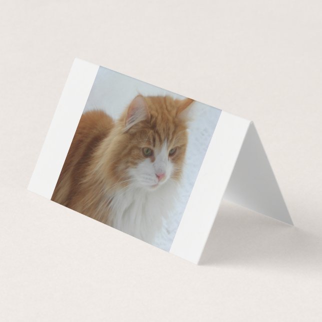Carte De Visite Norwegian_Forest_Cat (Devant)