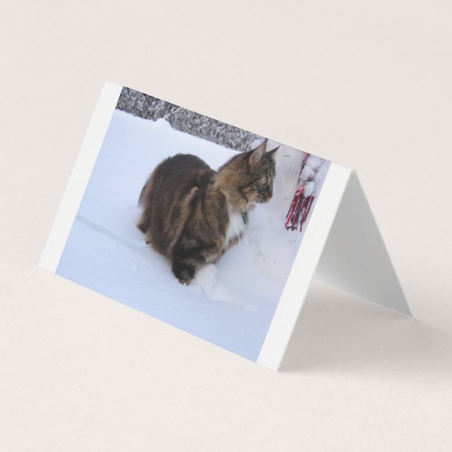 Carte De Visite norwegian forest cat in snow (Devant)