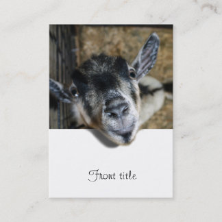 Carte De Visite Nosy Goat En Regard