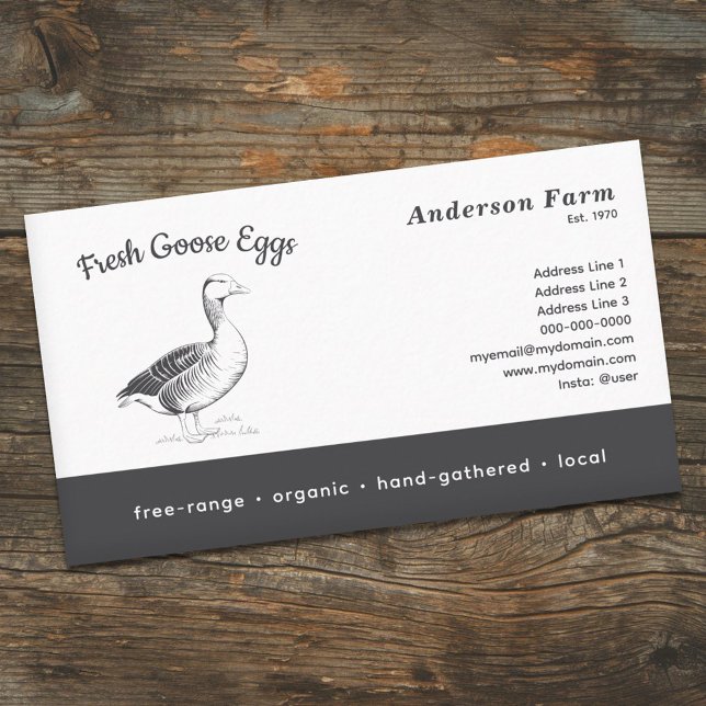 Carte De Visite Oeufs d'oie frais de ferme simples (Simple Farm Fresh Goose Eggs Business Card)