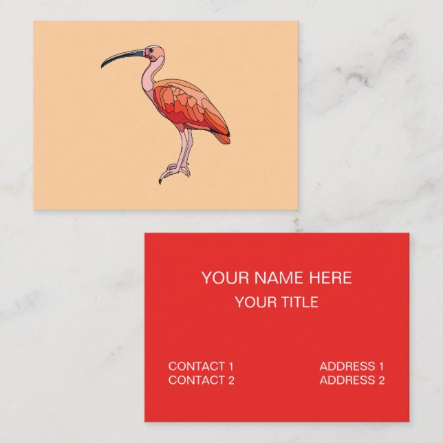 Carte De Visite Oiseau Ibis Scarlet (Devant / Derrière)