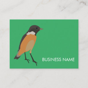 Carte De Visite Oiseaux Colorés Songbird