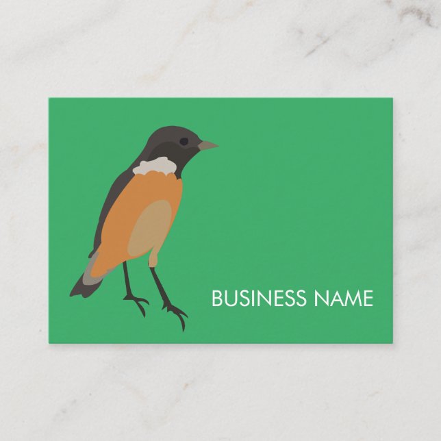 Carte De Visite Oiseaux Colorés Songbird     (Devant)