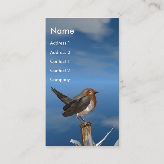 CARTE DE VISITE OISEAUX HYPER / MONOGRAMME ROBINE ROUGE (Devant)