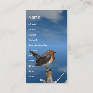 CARTE DE VISITE OISEAUX HYPER / ROBIN BREAST ROUGE