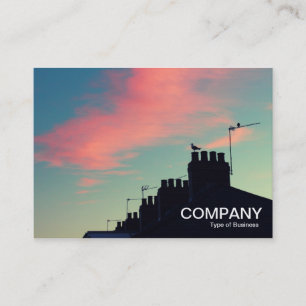 Carte De Visite Oiseaux primitifs