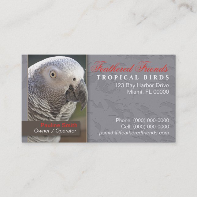 Carte de visite Oiseaux Tropicaux (Devant)