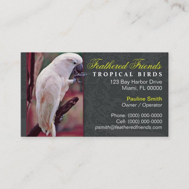 Carte de visite Oiseaux Tropicaux (Devant)