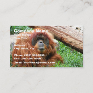 Carte De Visite Orang-outan somnolent